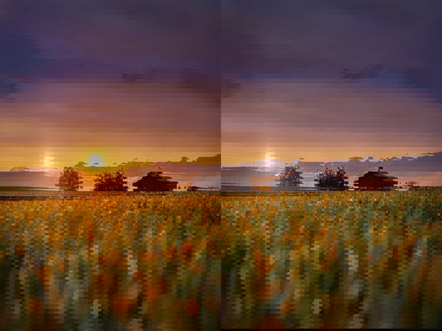 Budowanie przyszłości neutralnej pod względem emisji dwutlenku węgla